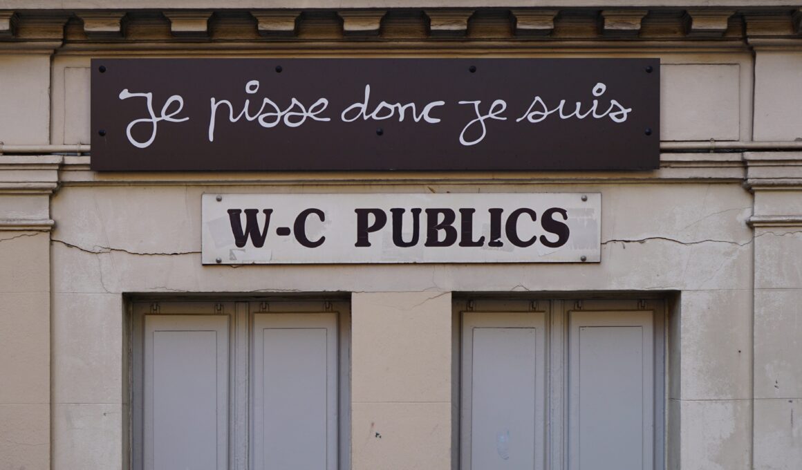 Eingang einer öffentlichen Toilette in Frankreich. Auf Französisch steht über dem WC-Schild "Ich pisse, also bin ich." (Foto: Tina Bosse auf Unsplash)