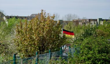Hinter Büschen und einem Zaun ist eine wehende Deutschlandfahne zu sehen. (Foto: Ragib Huda auf Unsplash)