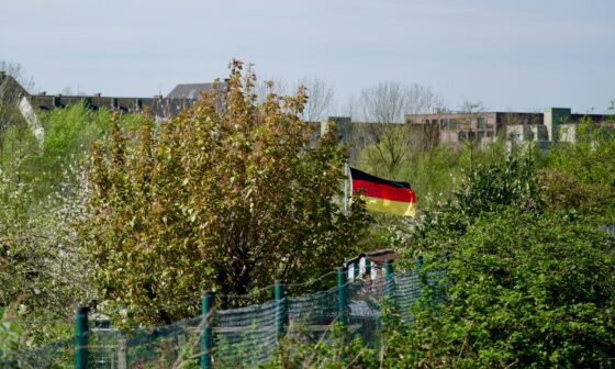 Hinter Büschen und einem Zaun ist eine wehende Deutschlandfahne zu sehen. (Foto: Ragib Huda auf Unsplash)